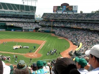 Stadium shot.jpg